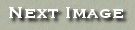 Button Bar
