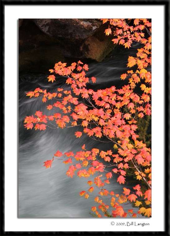 Fall Colors along the Rogue River...