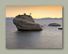 Bonsai Rock