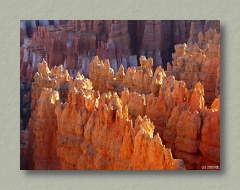 Bryce Canyon, Thumbnail Image