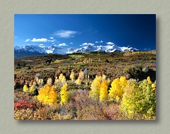 Dallas Divide, Ridgway, Colorado - Thumbnail Image