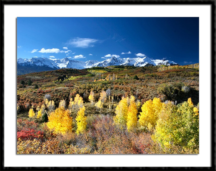 Fall at the Dallas Divide near Ridgway, Colorado