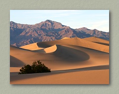 Death Valley Dunes