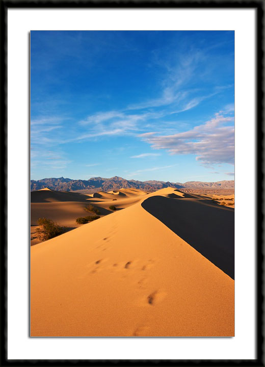 Sand Dunes in Death Valley National Park, California, (C) 2004, Bill Langton's Fine Art Photography