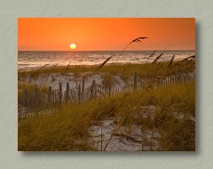 Florida Sunset