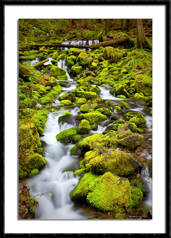 Mossy Stream