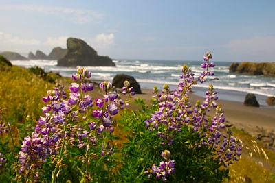 Oregon Coast