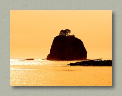 Sunset Light, La Push, Washington