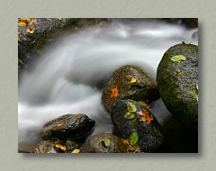 Fall Stream - Thumbnail Image