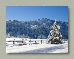 Winter in Squaw Valley